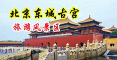 调教插入老司机激情中国北京-东城古宫旅游风景区